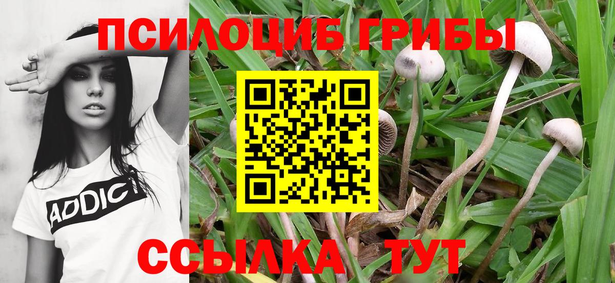 Канабис Нижнекамск