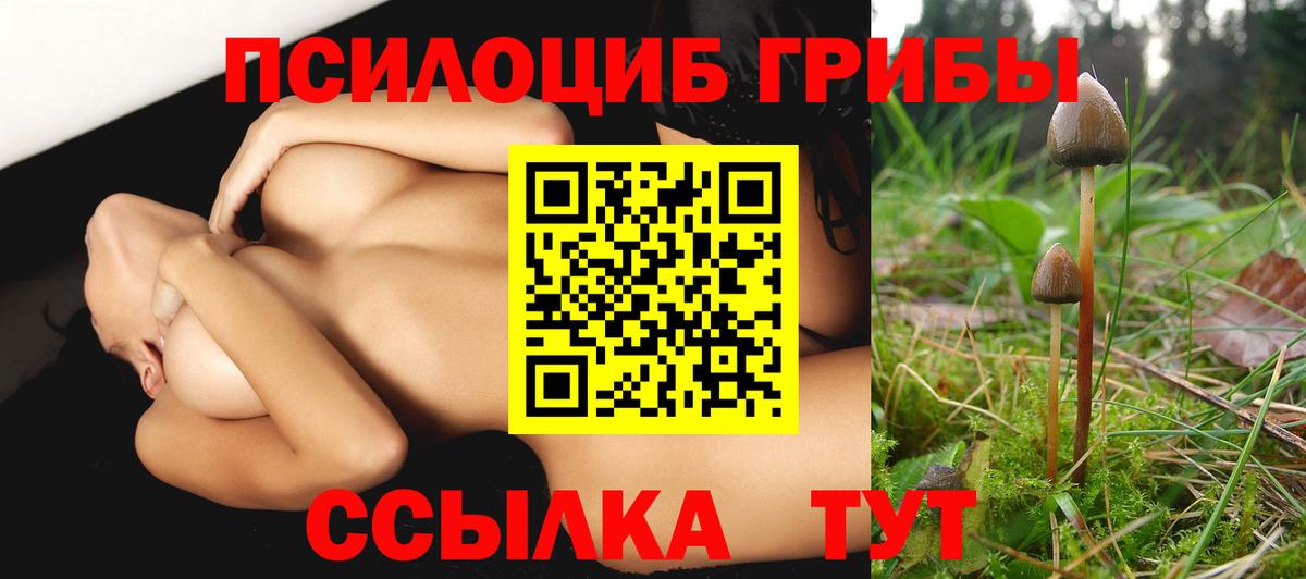 Псилоцибиновые грибы Cubensis Нижнекамск